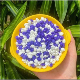 [TẶNG QUE] HŨ 500G SÁP WAX LÔNG SỮA DỪA COCONUT THƠM NHẸ DỄ SỬ DỤNG, TẨY MỌI VÙNG LÔNG  LYIHOME