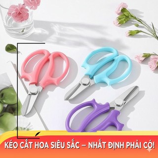 Kéo Cắt Hoa, Cắt Cành Siêu Sắc – Lưỡi Inox, Tay Cầm Nhựa Cao Cấp, Dùng Nhà Bếp & Làm Vườn
