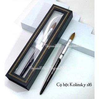 Cọ Bột Lông Chồn 999 Cán Đen Size (S12,S14,S16,S18) | Cọ Đắp Bột Kolinsky Mềm Mịn Cho Móng | TheGioiNail666
