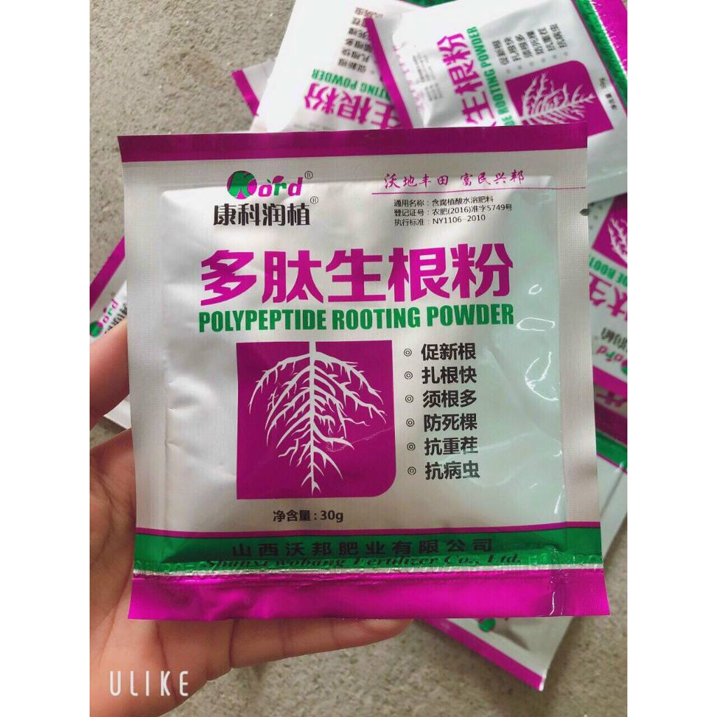 ( Siêu Kích Rễ ) Bột kích rễ Trung Quốc Polypeptide Rooting Powder- 1 ...
