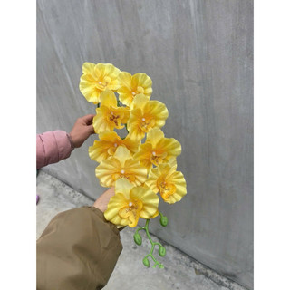 Cành Lan xoăn 98cm chất liệu vải lụa #lan_xoăn #lan_hồ_điệp #hoa_trang_trí_cao_cấp