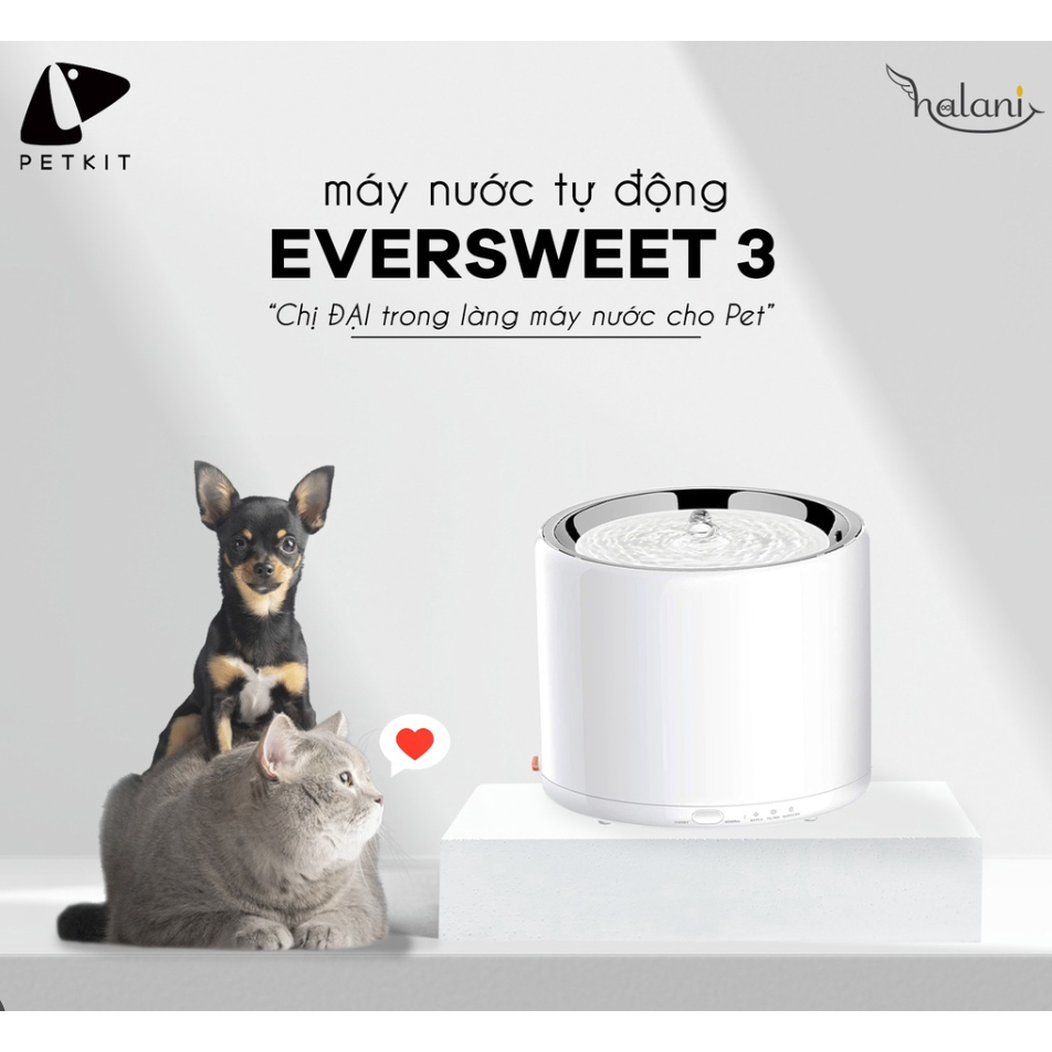 Ảnh Máy nước Eversweet 3 Petkit cho thú cưng 1
