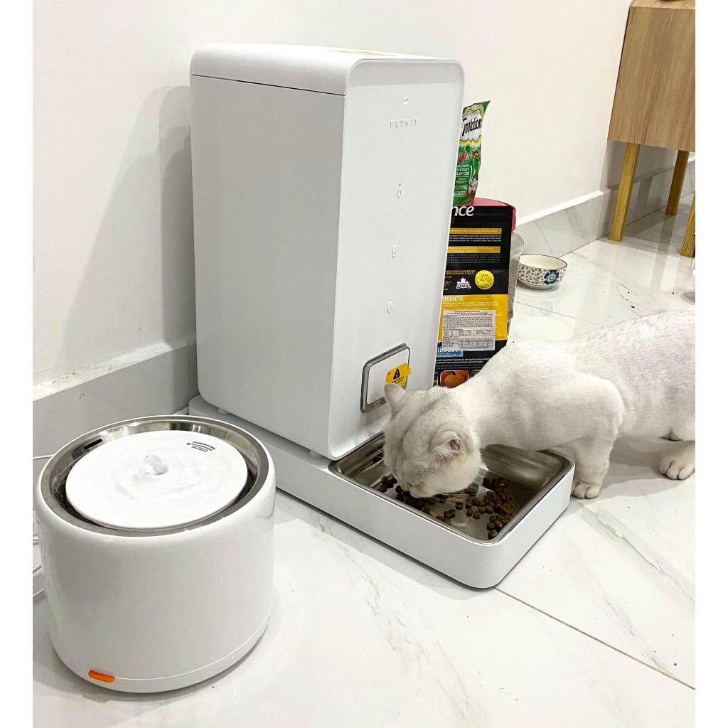 Ảnh Máy nước Eversweet 3 Petkit cho thú cưng 2