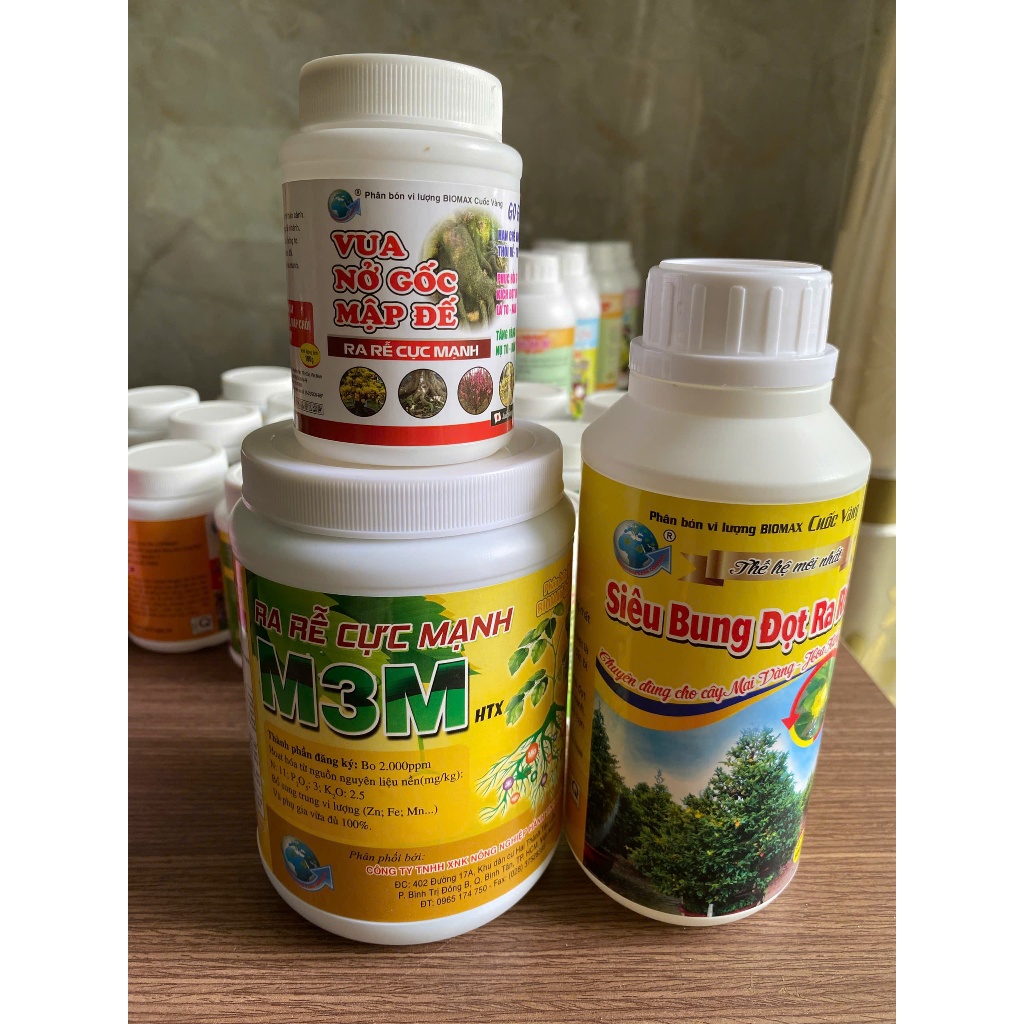 COMBO PHÂN BÓN DÀNH CHO MAI VÀNG 3 ( RA RỄ CỰC MẠNH-500 gr, SIÊU BUNG ...