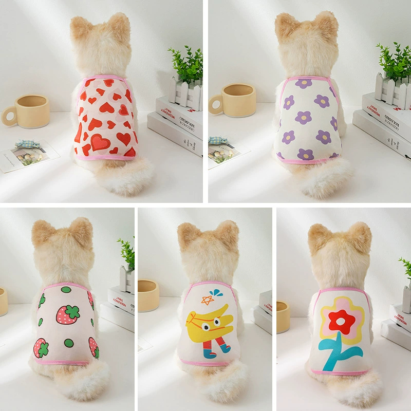 Áo Cho Chó Mùa Hè Đông Poodle Tiny Đực Con Gái Lớn Đầm Mèo Mới Sơ Sinh 1 2 3 Tháng Giá Rẻ Size XS To Nhỏ Hình Gấu 3kg