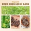 Hương phụ khô 100g, củ gấu tàu đã sơ chế, thơm, sạch, không lẫn tạp chất - Lãn Ông