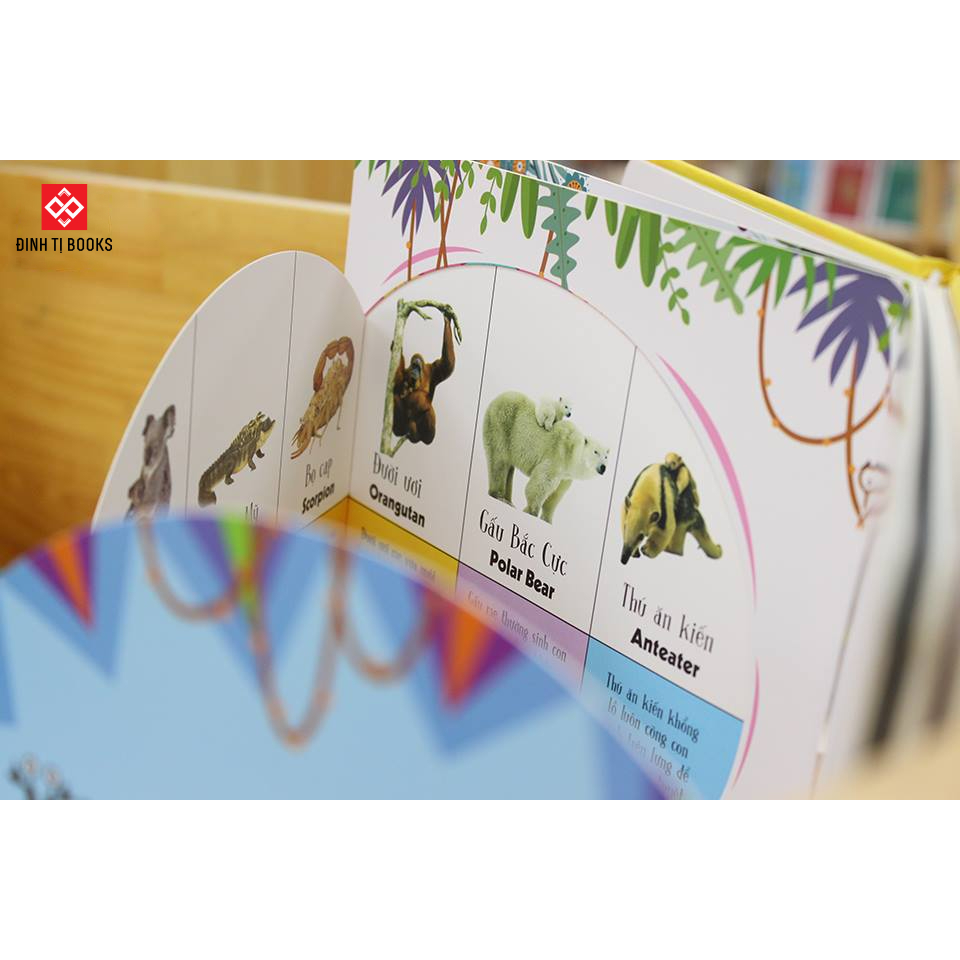 Ảnh Sách - Lift the flap - Lật mở khám phá dành cho trẻ từ 0 - 6 tuổi - Nhiều chủ đề - Đinh Tị Books 3