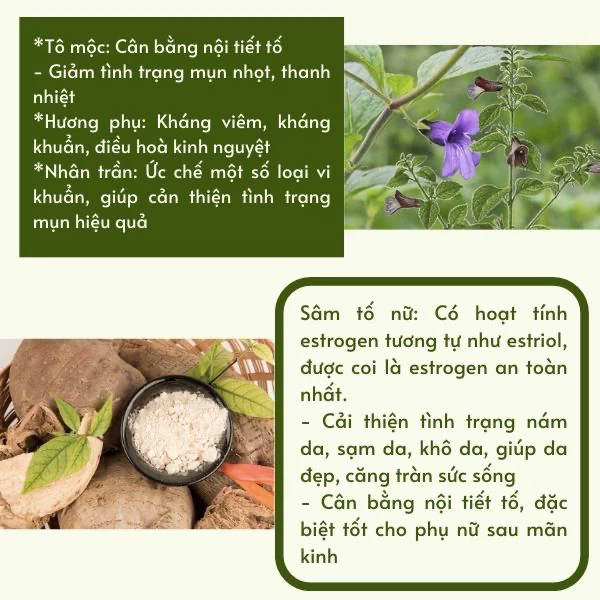 Chất lượng Sản Phẩm Sâm Tố Nữ