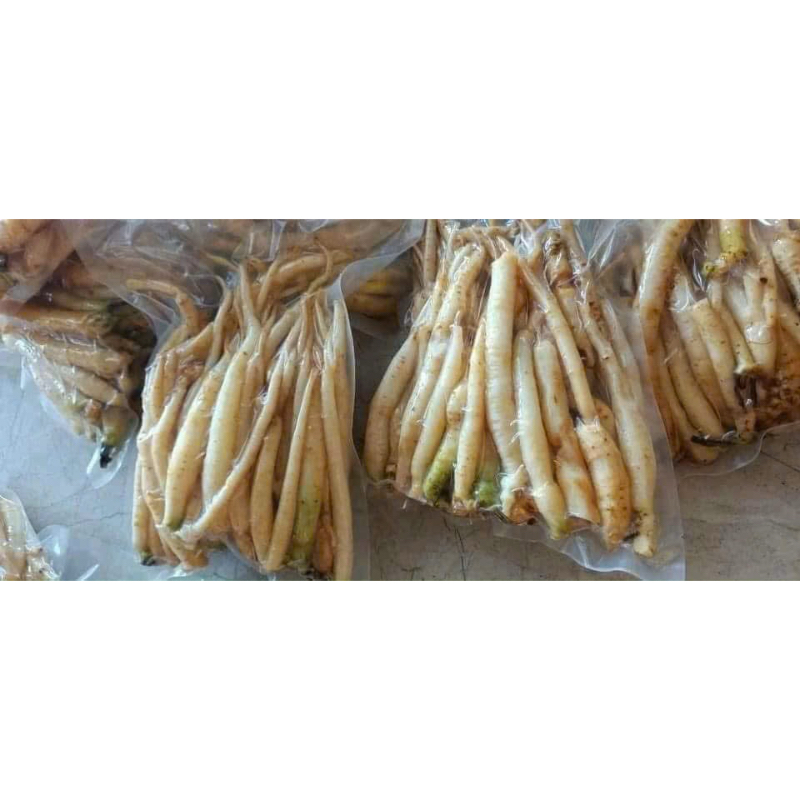 Đẳng Sâm Lai Châu Loại 1 Sợi To Chuẩn Rừng Chất Lượng Cao