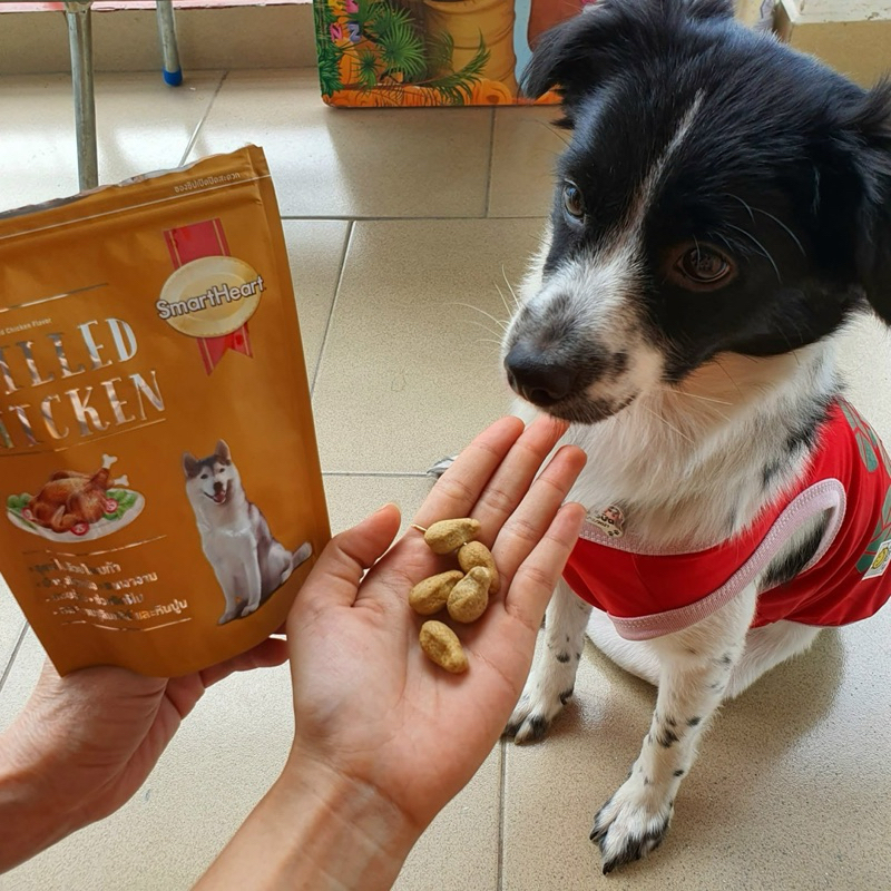 Bánh Thưởng Cho Chó SmartHeart Từ Thịt & Rau Củ 100g
