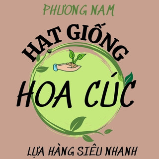 Hạt Giống Hoa Cúc Phương Nam- Trồng Quanh Năm - Sinh Trưởng Khỏe - Dễ Chăm Sóc