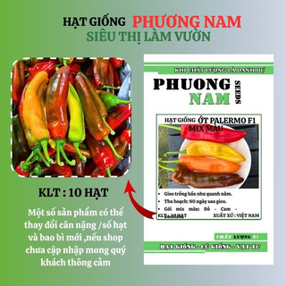 20 Hạt - Hạt Giống Ớt Trái Cây Palermo F1 (Mix / Chocolate/ Cam/ Đỏ ) Phương Nam