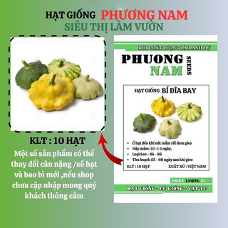 10 Hạt - Hạt Giống Bí Đĩa Bay Nhiều Màu