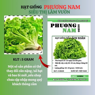 5 Gram - Hạt Giống  Xà Lách Xoăn Phương Nam