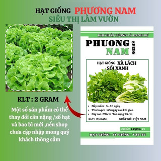 2 Gram - Hạt Giống Xà Lách Sồi Xanh Oakleaf Phương Nam