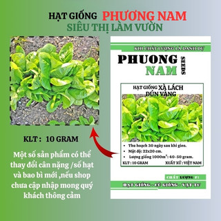 10 Gram - Hạt Giống Xà Lách Dún Vàng Phương Nam