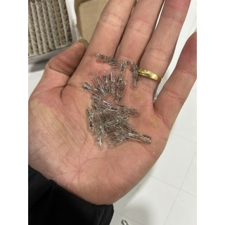 COMBO 10 bóng ghim công tắc, bóng đèn Halogen hạt gạo mini. Điện 12v và 24v
