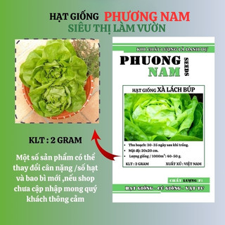 2 Gram - Hạt Giống Xà Lách Búp (Đăm) Phương Nam