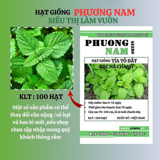 100 Hạt - Hạt Giống Tía Tô Đất Bạc Hà Chanh Phương Nam