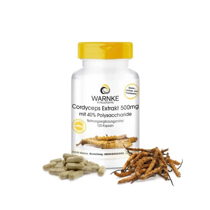 Viên Uống Đông Trùng Hạ Thảo Đức Cordyceps Extrakt WARNKE VITALSTOFFE 500mg
