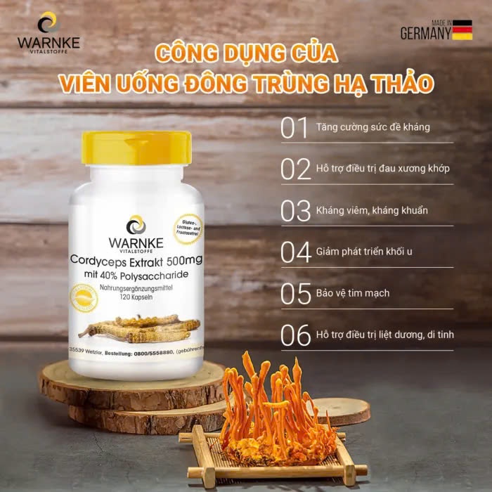 Viên Uống Đông Trùng Hạ Thảo Đức Cordyceps Extrakt WARNKE VITALSTOFFE 500mg
