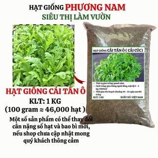 1 Kg - Hạt Giống Tần O Phương Nam