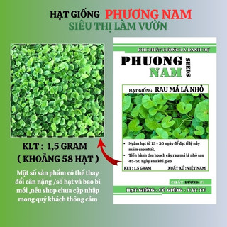 1.5 Gram - Hạt Giống Rau Má Phương Nam