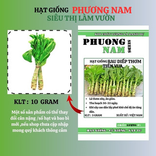 5 Gram - Hạt Giống Rau Diếp Thơm  Phương Nam