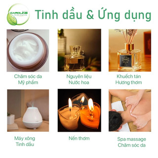 Tinh dầu xông thơm phòng hương Nước Hoa cao cấp Grasse De France Size mini, thơm sang chảnh