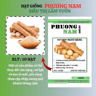 10 Hạt - Hạt Giống  Ngưu Bàng Phương Nam