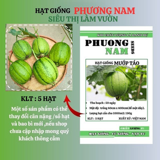 5 Hạt - Hạt  Giống  Mướp Táo /Béo Đài Loan Phương Nam