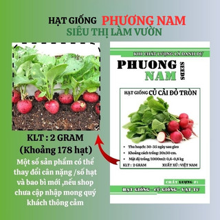 2 Gram - Hạt Giống Củ Cải Đỏ Tròn Phương Nam