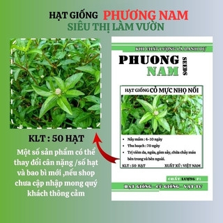 50 Hạt - Hạt Giống  Cỏ Mực Nhọ Nồi Phương Nam