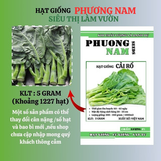 5 Gram - Hạt Giống Cải Rổ Phương Nam