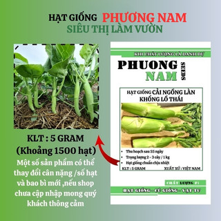 5 Gram - Hạt Giống Cải Ngồng Làn Khổng Lồ Phương Nam