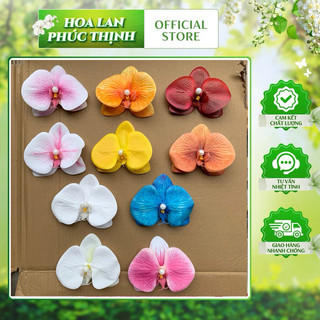 COMBO 9bông lan hồ điệp trang trí cao cấp