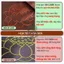 Nệm ngồi thiền 3B Care chất xơ dừa đàn hồi cao, đệm ngồi thiền không xẹp lún combo bồ đoàn tọa cụ