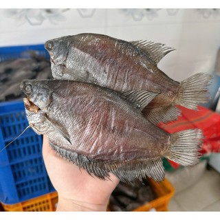 Khô cá sặc bổi lạt loại 1 size 12 con 1kg cá vị lạt vừa ăn đóng gói bịch 500gram.
