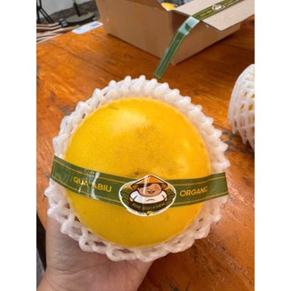 Cây Giống Và Qua Abiu Giống Cây Khỏe, Quả Ngon Rất Thơm, Nhanh Ra Trái