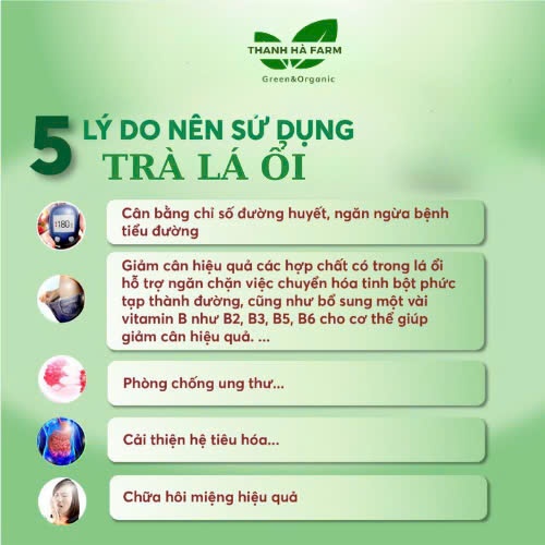 Trà Lá Ổi Túi Lọc Giảm Cân Combo 30 Gói Mix Thảo Mộc Thiên Nhiên - Gói Lớn Pha 2L Nước