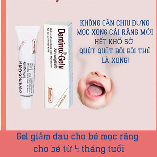 [ MẪU MỚI DATE 4/2029] Gel Bôi Giảm Đau Mọc Răng Dentinox-Gel N Nội Địa Đức 10gr cho bé từ 4M