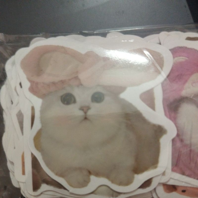 sticker mèo | Shopee Việt Nam