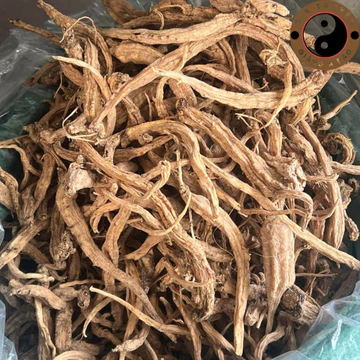 Đẳng sâm khô rừng Tây Bắc (200g, 500g, 1kg) từ củ đẳng sâm tươi, ngâm rượu giúp bồi bổ sức khoẻ cơ thể, bổ máu