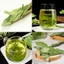 Cỏ ngọt sấy lạnh 100g, trà cỏ ngọt nguyên lá không cành, vị ngọt tự nhiên, tốt cho người tiểu đường
