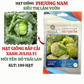 0.5 Gram - Hạt Giống Bắp Cải Xanh Phương Nam