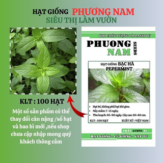 Hạt Giống Bạc Hà Peppemint Phương Nam