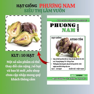 10 Hạt - Hạt Giống Atiso / Astiso  Tím Phương Nam