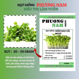Hạt Giống Mầm Cải Ngọt Phương Nam