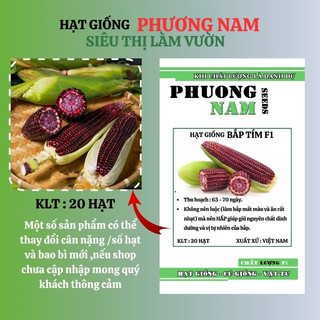 20 Hạt - Hạt Giống Bắp (Ngô) Tím Phương Nam