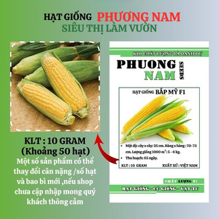 10 Gram - Hạt Giống Bắp (Ngô) Mỹ Phương Nam